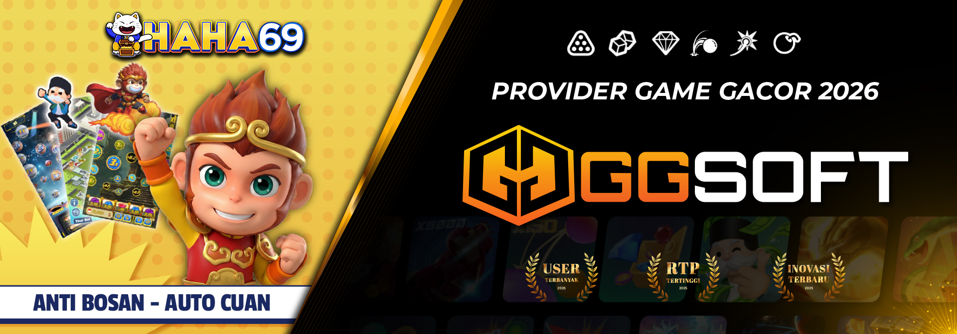 PROVIDER GGSOFT